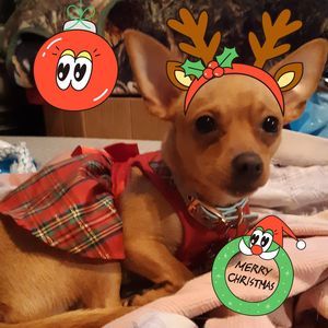 Meet your Posher, Regina